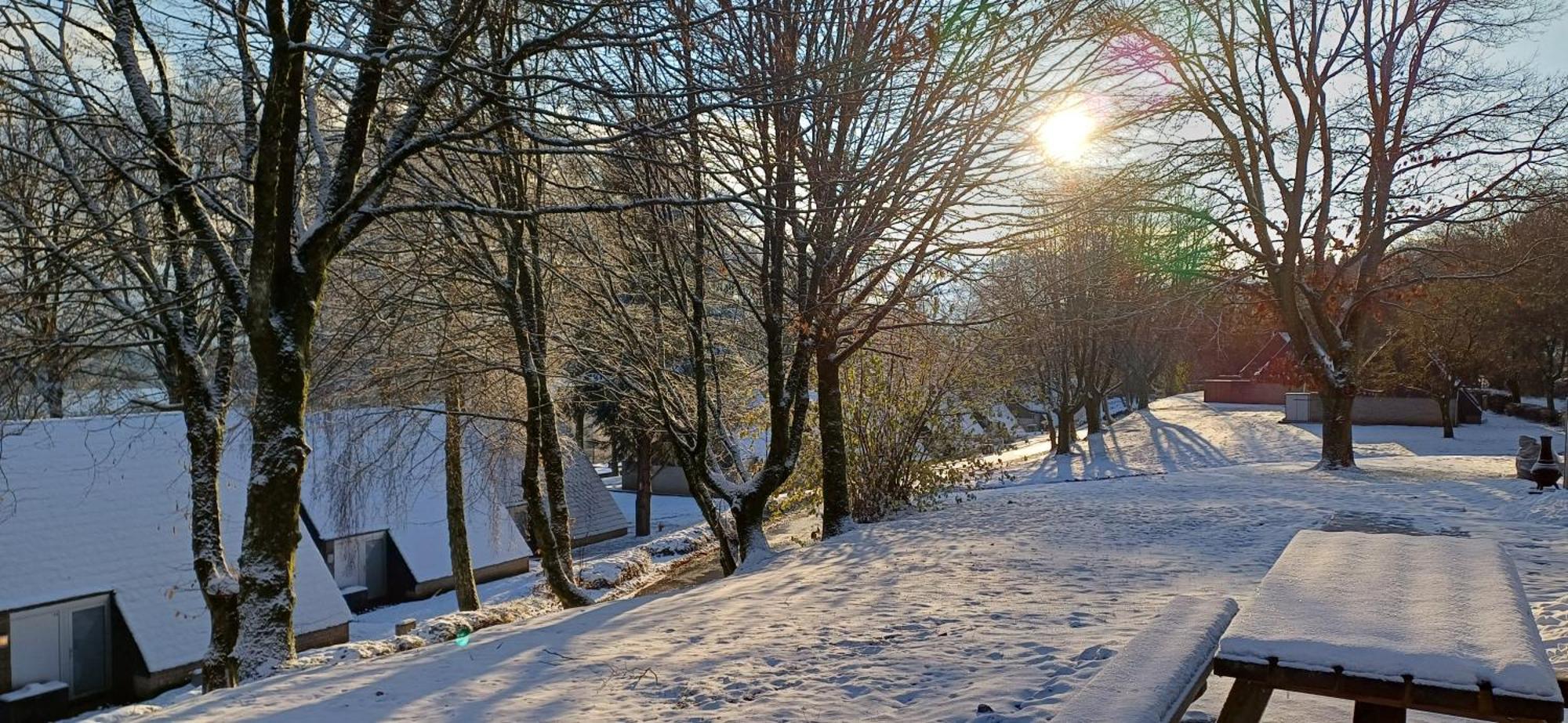 L'ecureuil - Terrasses De